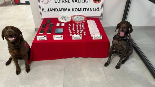 EDİRNE JANDARMASINDAN UYUŞTURUCU OPERASYONU